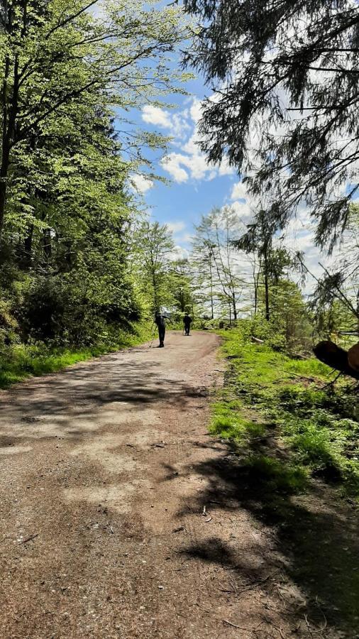 Harz-Huette - Schnuckelig Fewo In St. Andreasberg Sankt Andreasberg Esterno foto